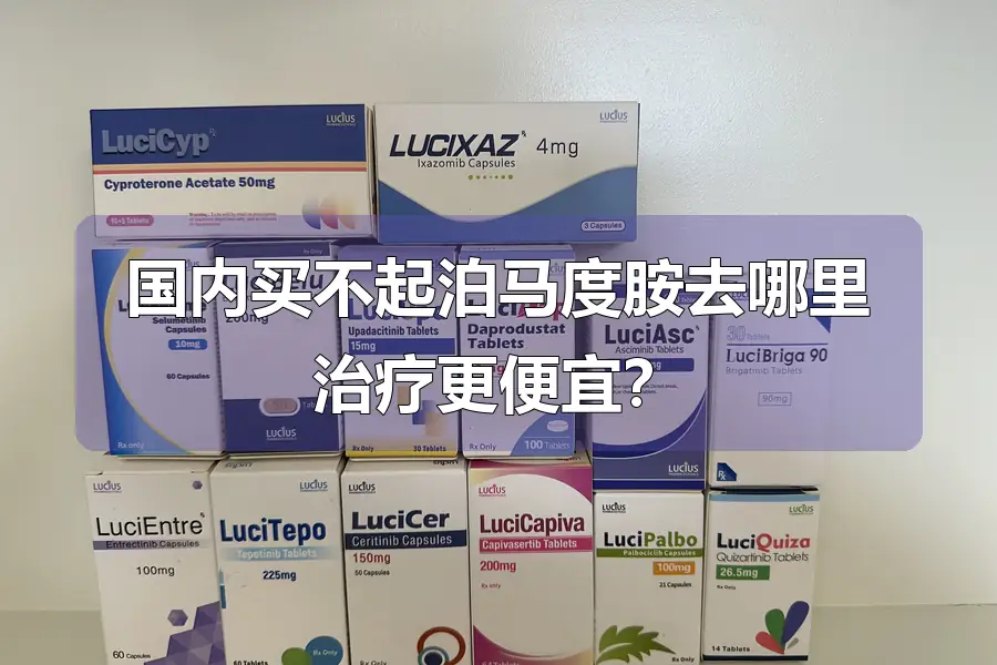 国内买不起泊马度胺去哪里治疗更便宜？